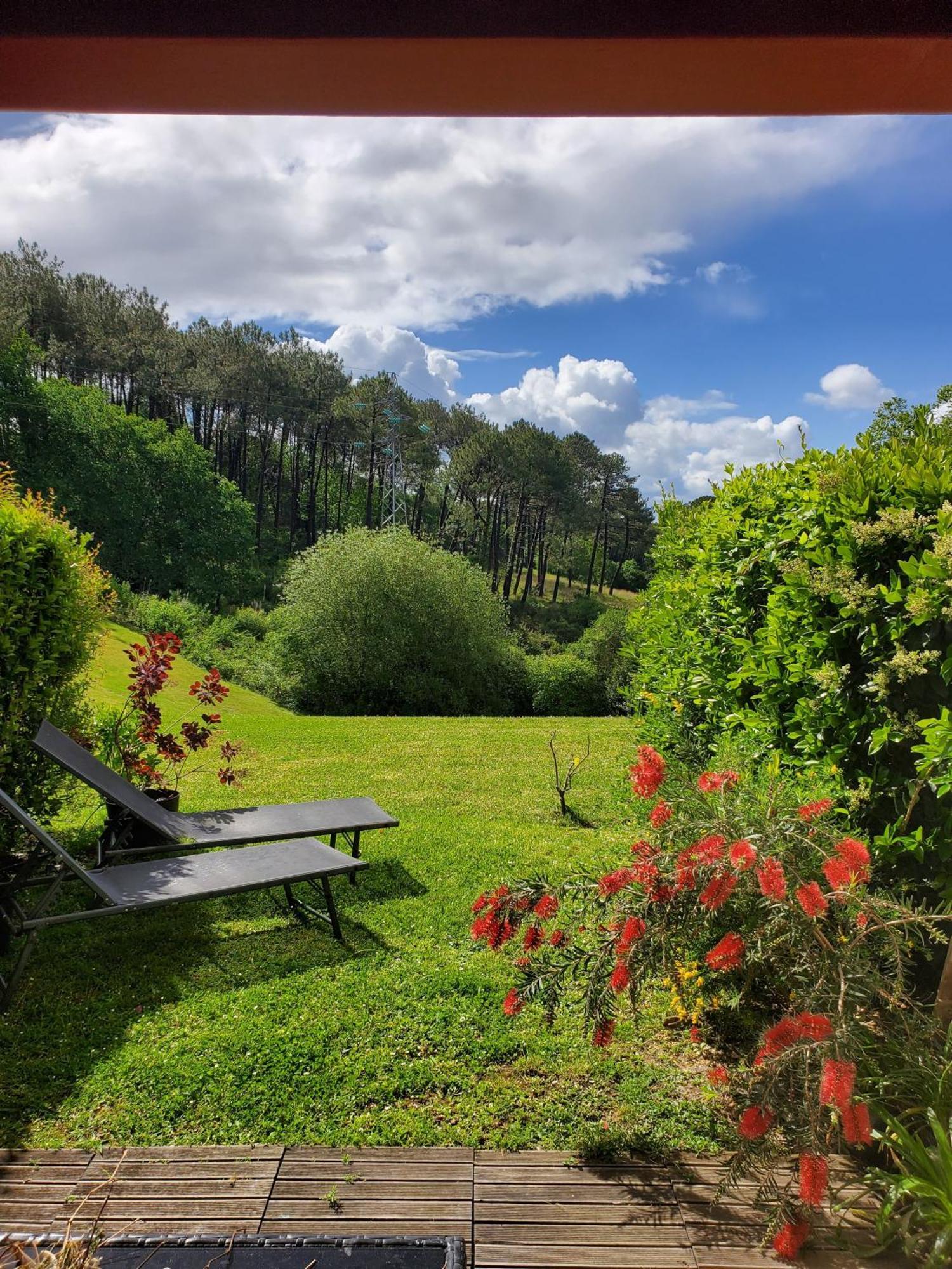 Appartement Calme Avec Jardin Bidart Biarritz Exterior photo